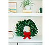 Sweetwater Floral Holiday Wreath DIY Kit - 11/28 Ship Week, 5 of 6