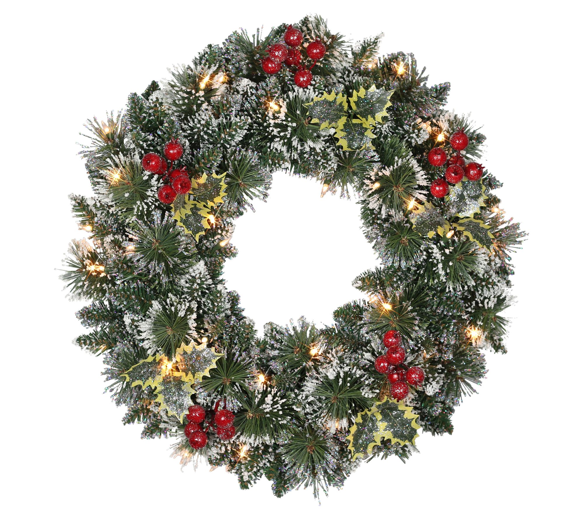 Puleo 24" Pre-Lit Snowy Silverton Pine Wreath 50 Clear Lights