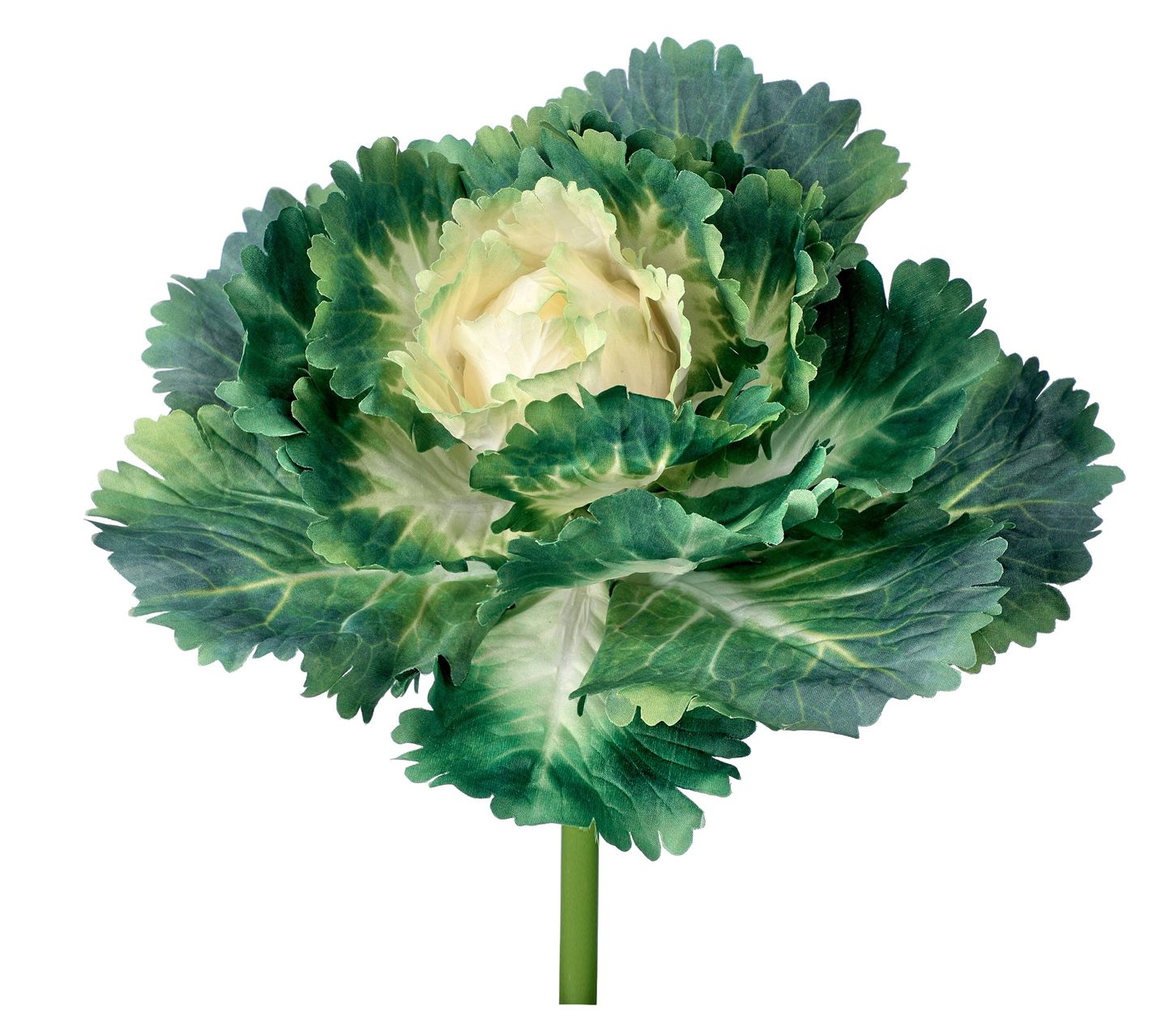 Kale Pick 7.25" Set of 2 By Valerie