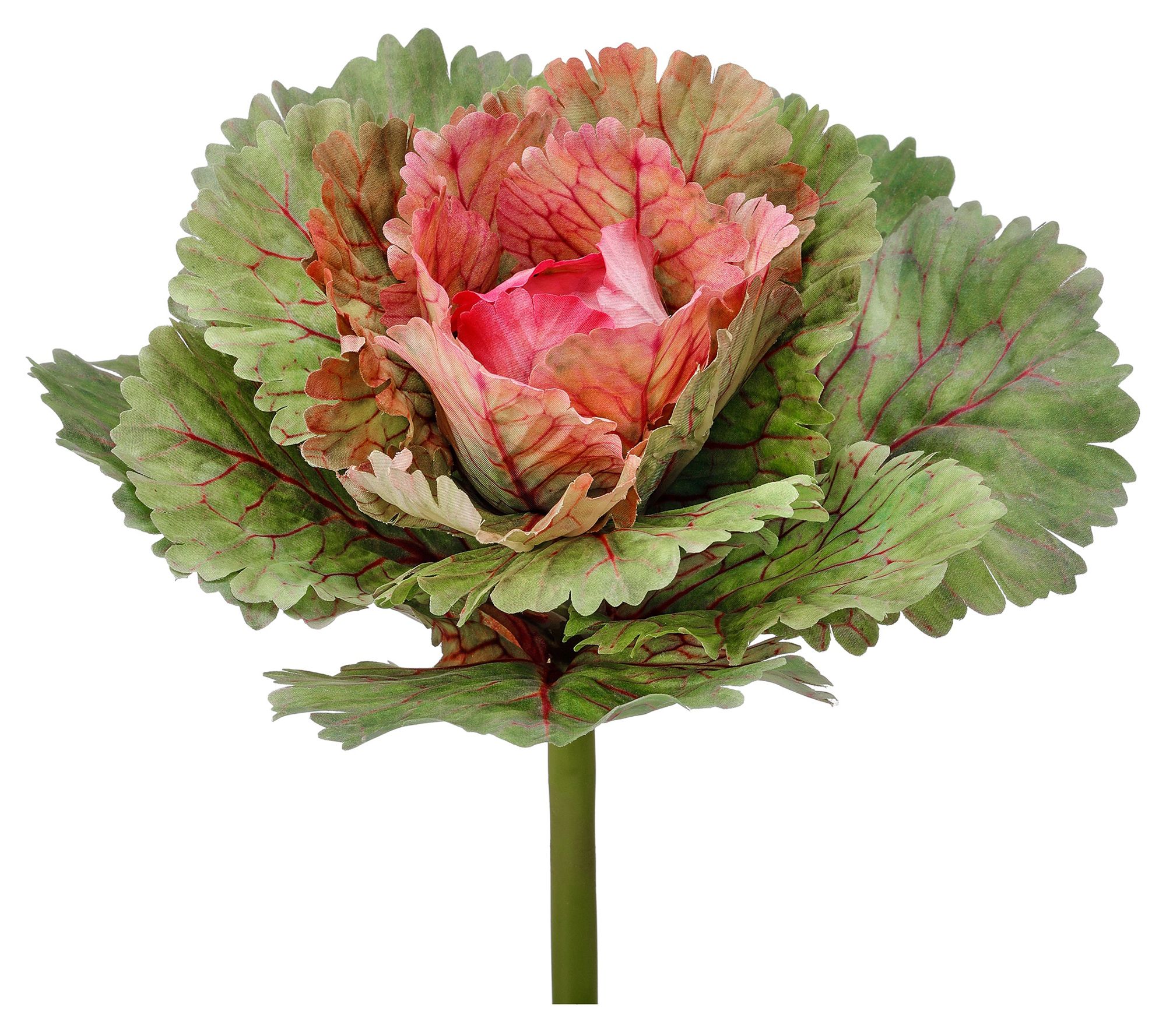 Kale Pick 7.25" Set of 2 By Valerie