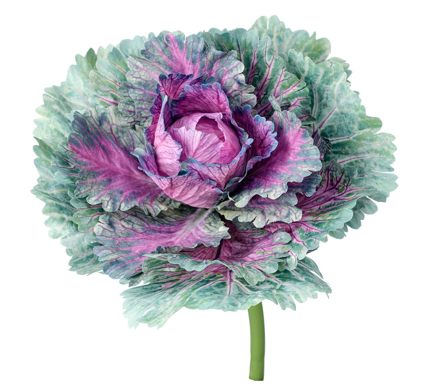 Kale Pick 7.25" Set of 2 By Valerie