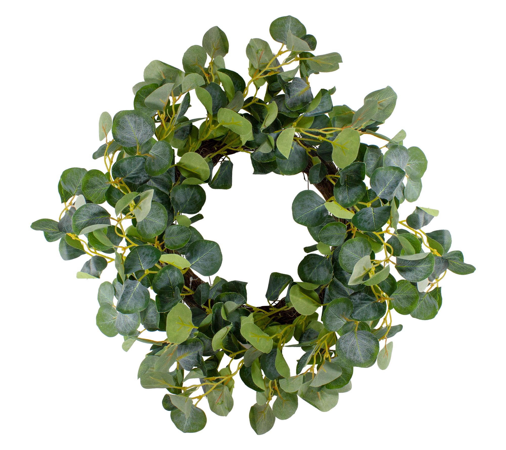 Northlight Eucalyptus Leaves Botanical Spring Wreath