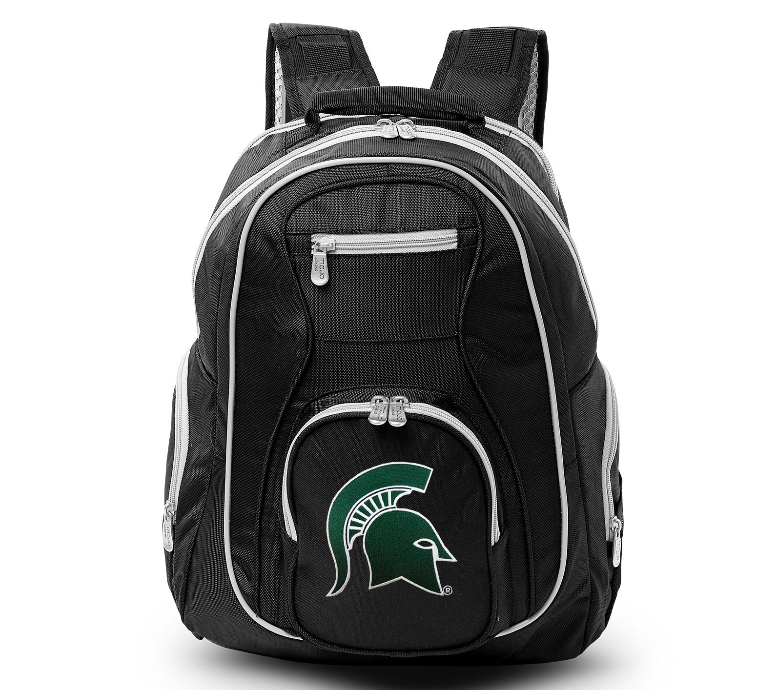 Michigan State