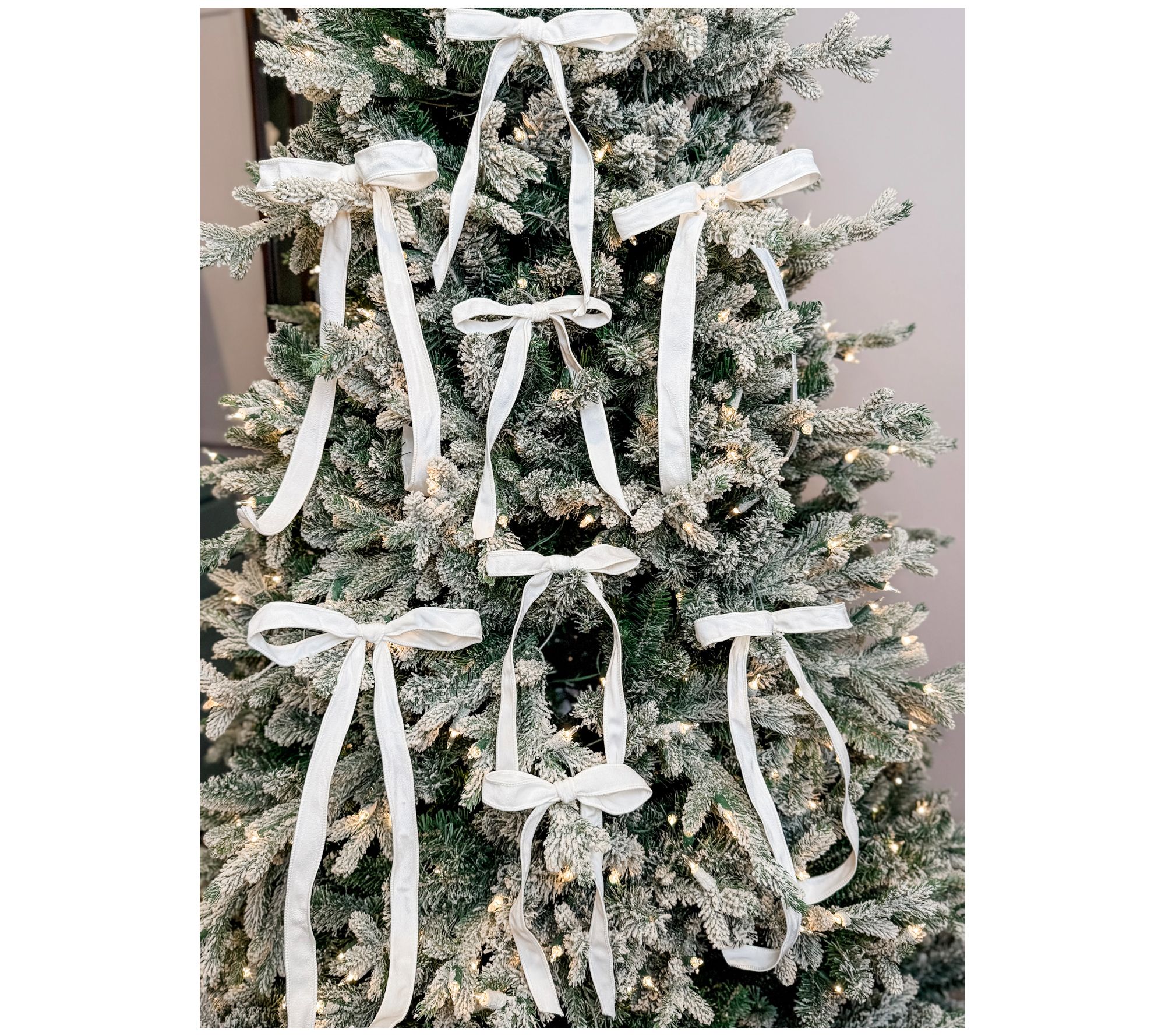 "As Is" Simply Stunning Set of 8 Velvet Bow Clips by Janine Graff