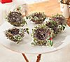 Set of (6) 5" Frosted Bird Nests with Clips by Valerie, 1 of 2