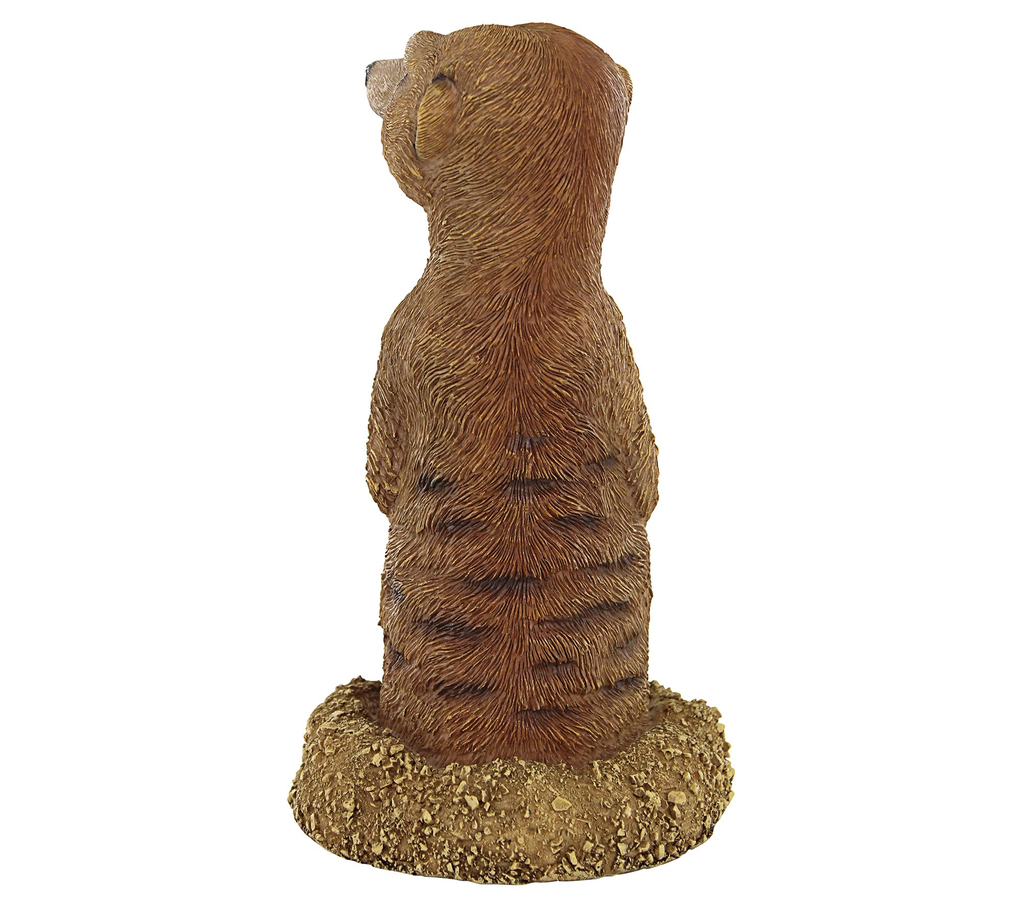 Design Toscano Pop Up and Peek Meerkat Garden Statue - QVC.com