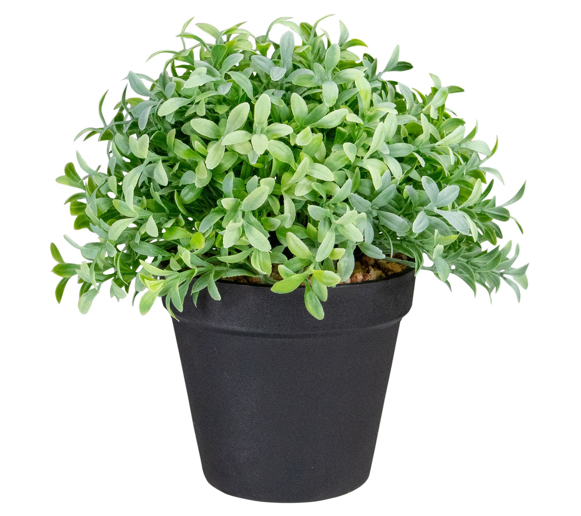 Northlight 7.5" Artificial Chinese Yew Plant inBlack Pot