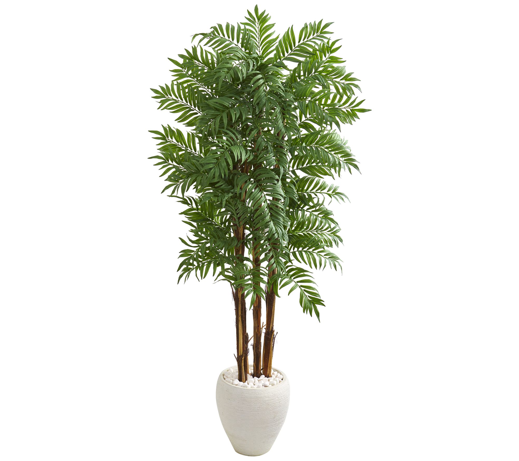 6' Parlor Palm Tree in White Planter by NearlyNatural