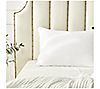 Farm To Home 100% Cotton Cv Down Pillows King-Med/Firm, 2 of 3