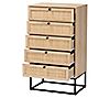 Amelia Wood and Natural Rattan 5-Drawer Storage Cabinet, 1 of 7
