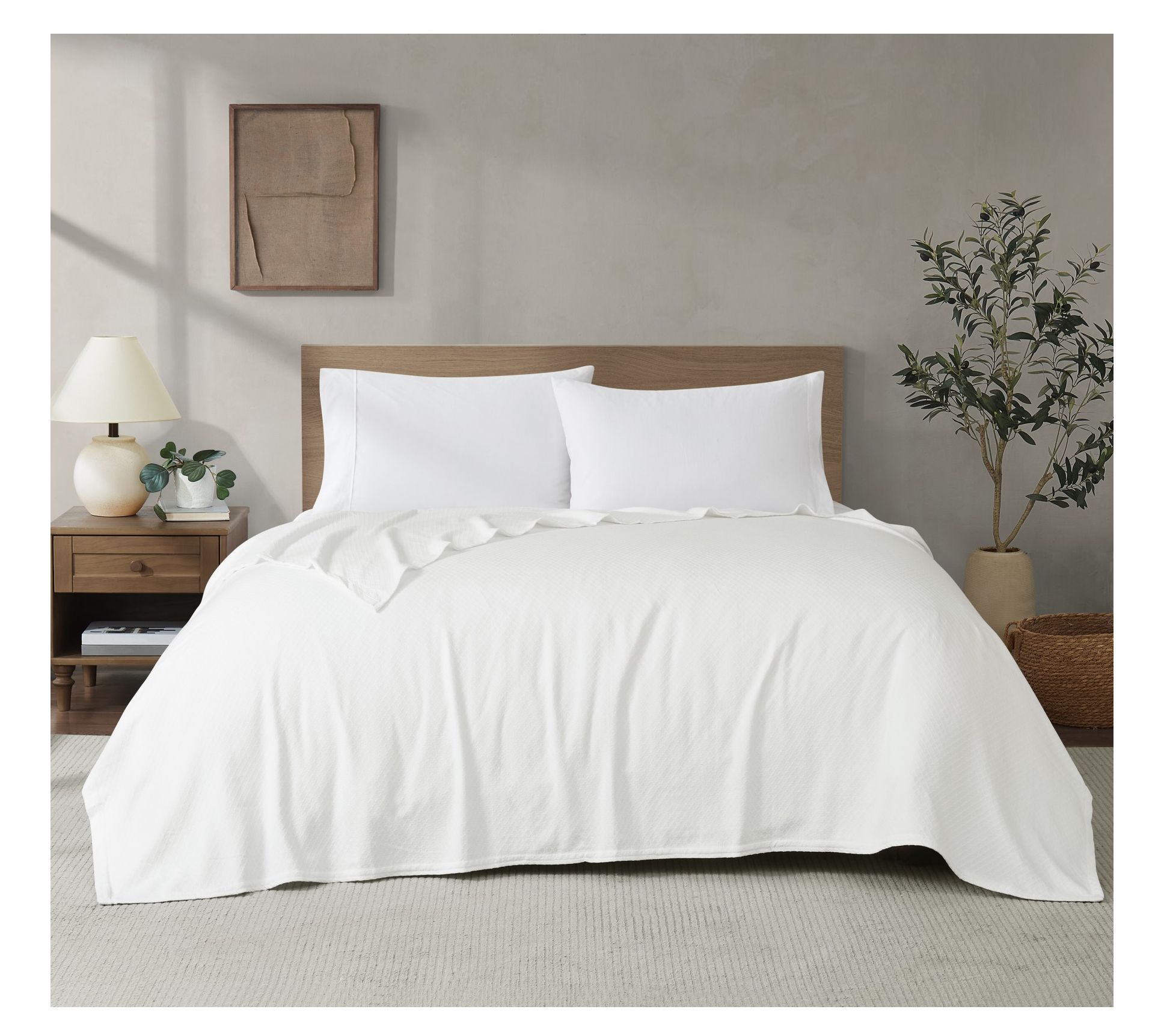 Royal Velvet Dream Cotton King Blanket