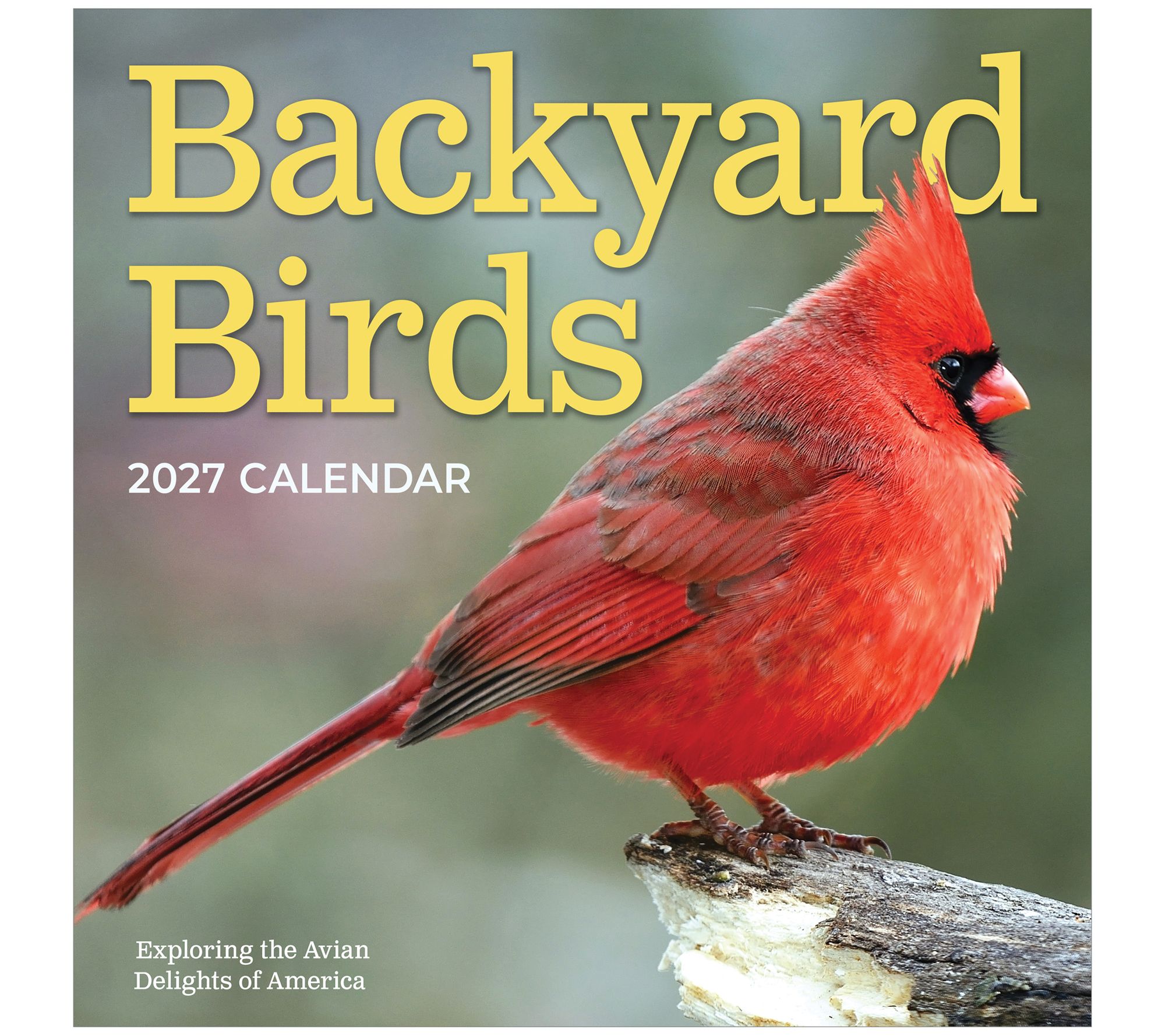 TF Publishing 2027 Backyard Birds Wall Calendar