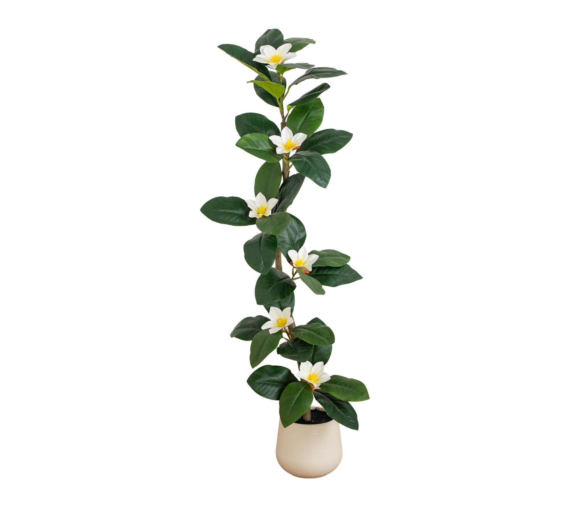 4-ft Magnolia Tree in Decorative Planter by Nearly Natural
