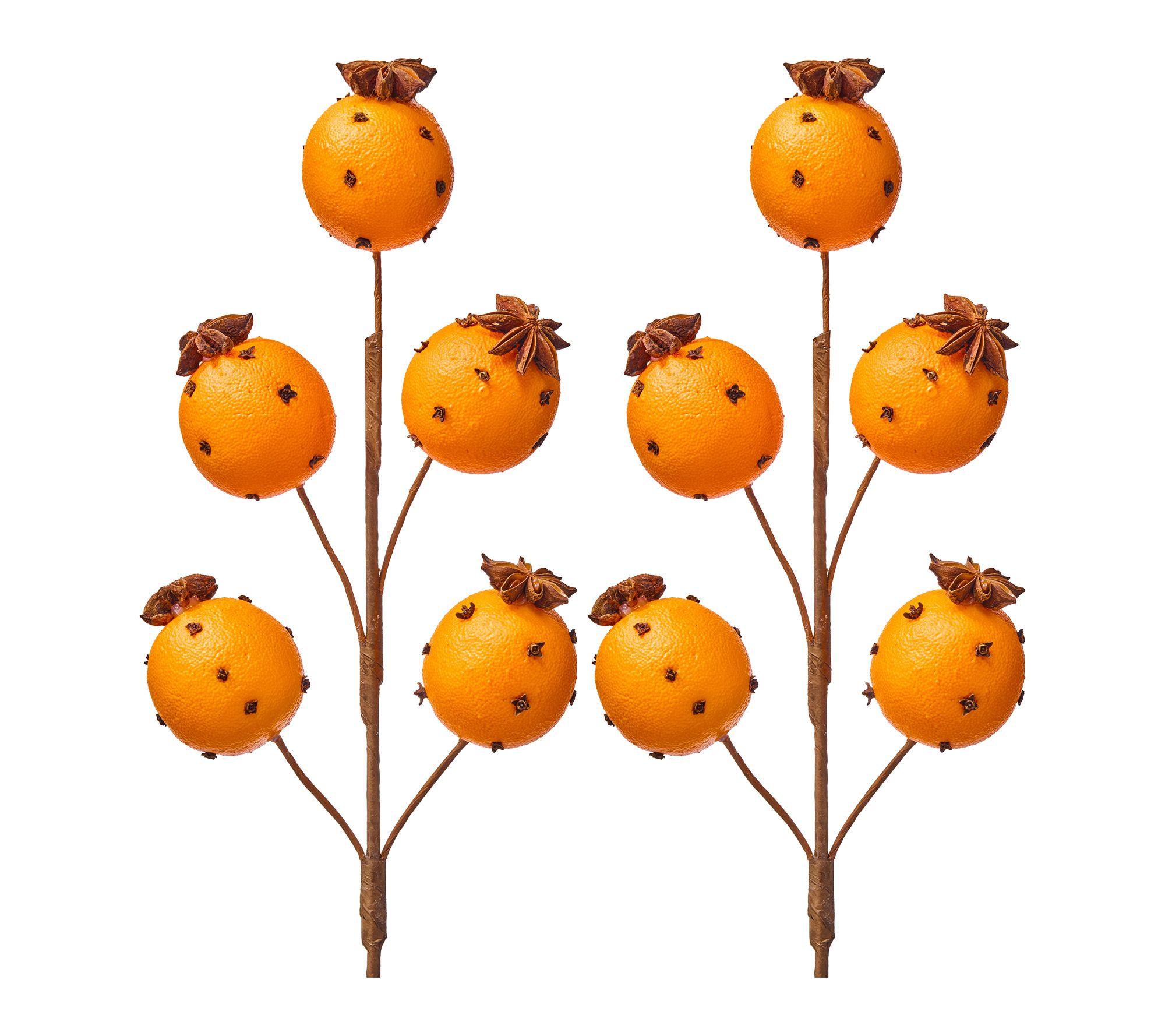 19.5" Orange With Clove Spray Set of 2 by Valerie