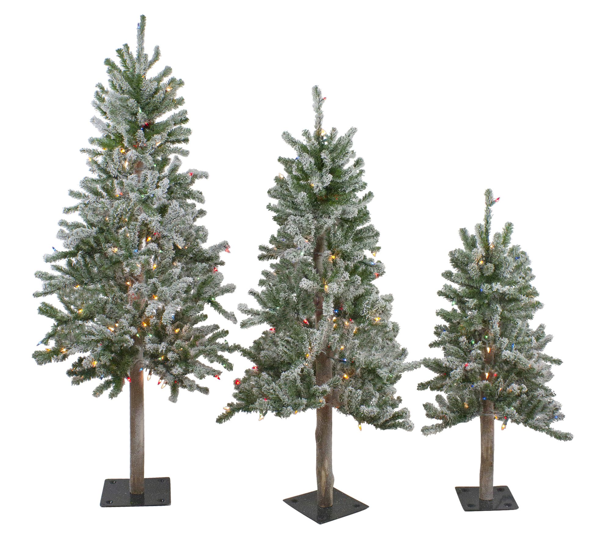 Northlight Set of 3 Flocked Alpine Christmas Trees - Unlit