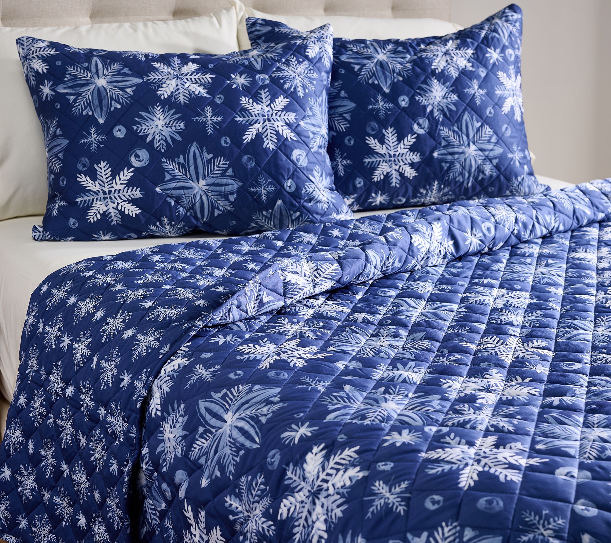 100% Cotton Reversible Snowflake Queen Quilt Set by Kim Gravel