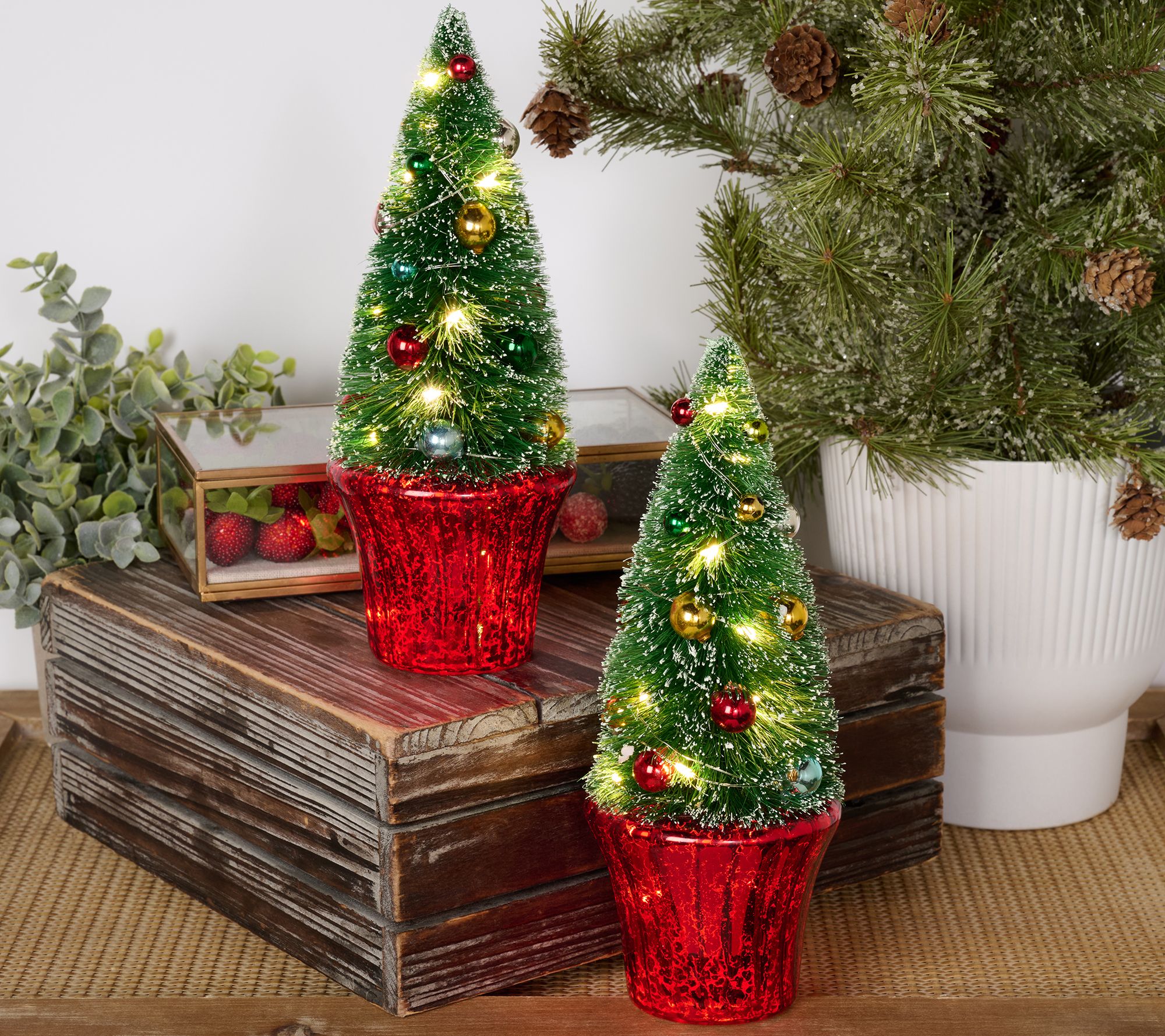 Set of (2) 9" Illuminated Bottlebrush Trees in Pot by Valerie