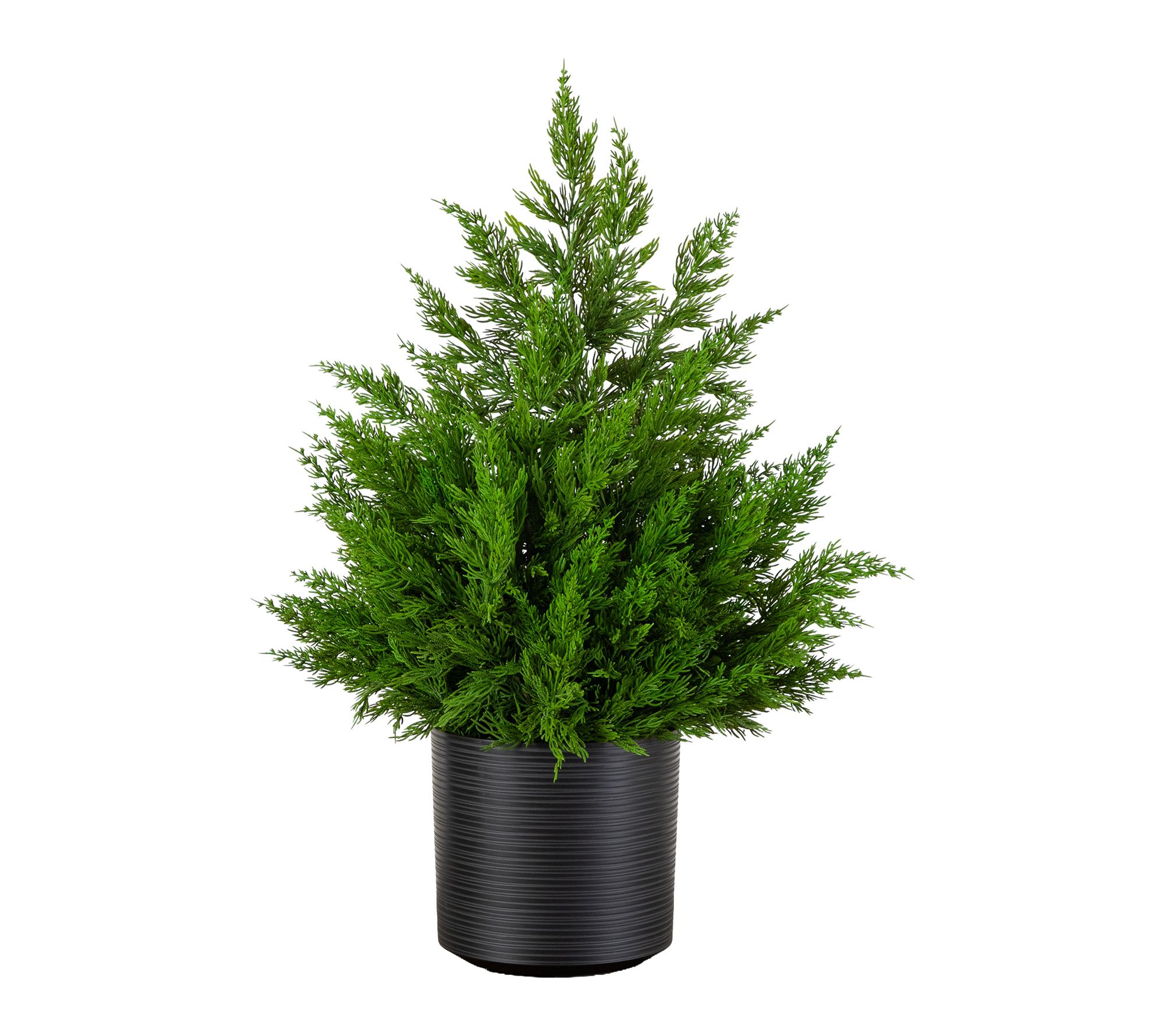 28-in Winter Cypress Bush in Black Planter by Nearly Natural