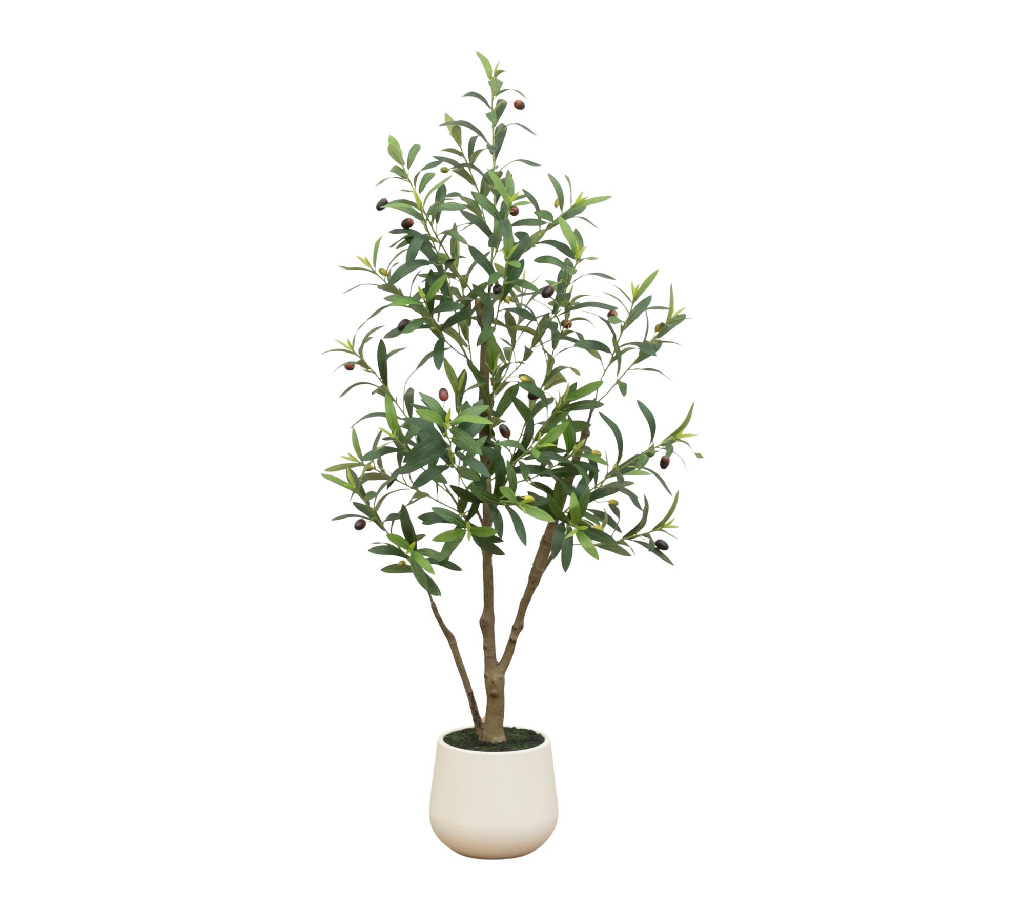 4-ft Olive tree in Decorative Planter by Nearly Natural