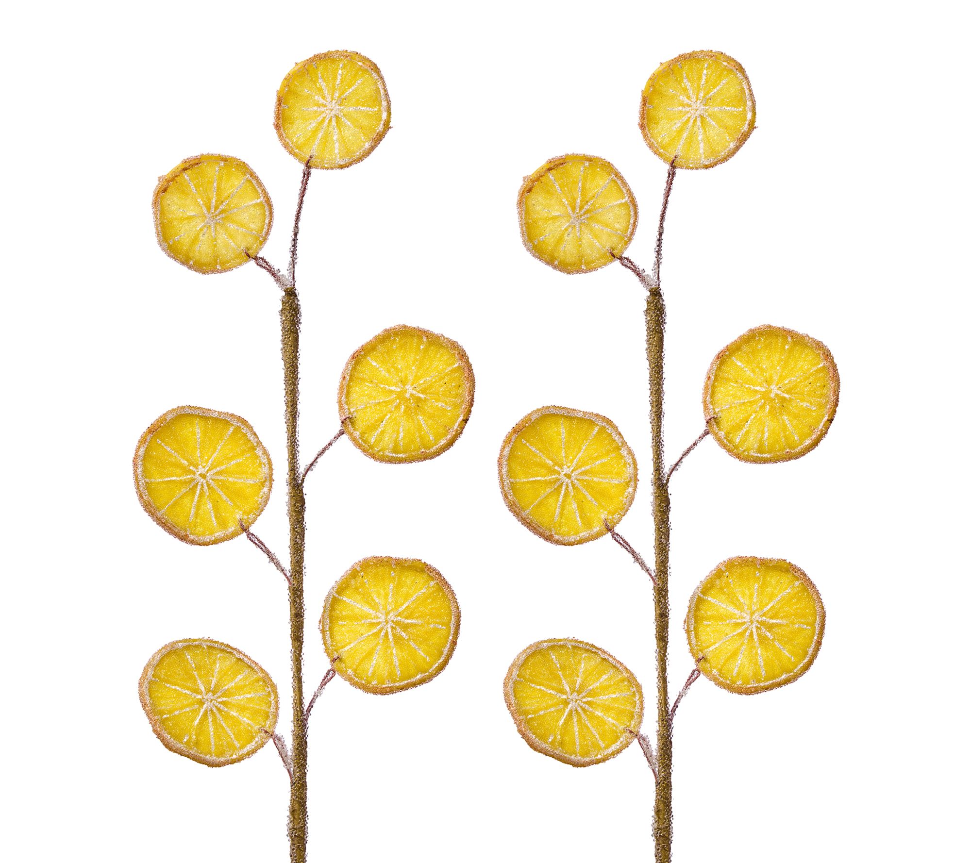 22" Sugared Beaded Orange Spray set of 2 by Valerie