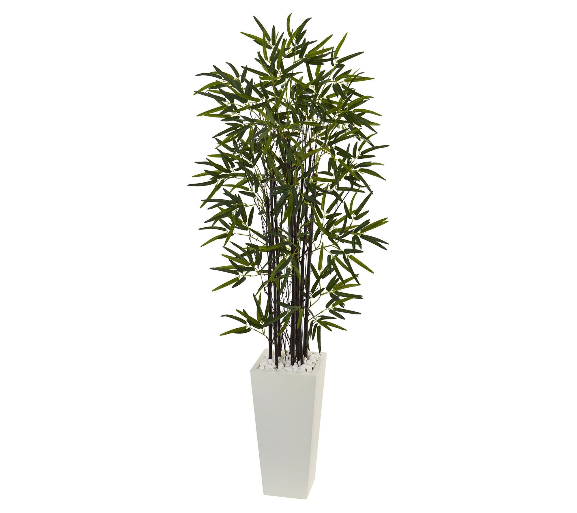 5.5' Black Bamboo Tree in White Planter by Nearly Natural
