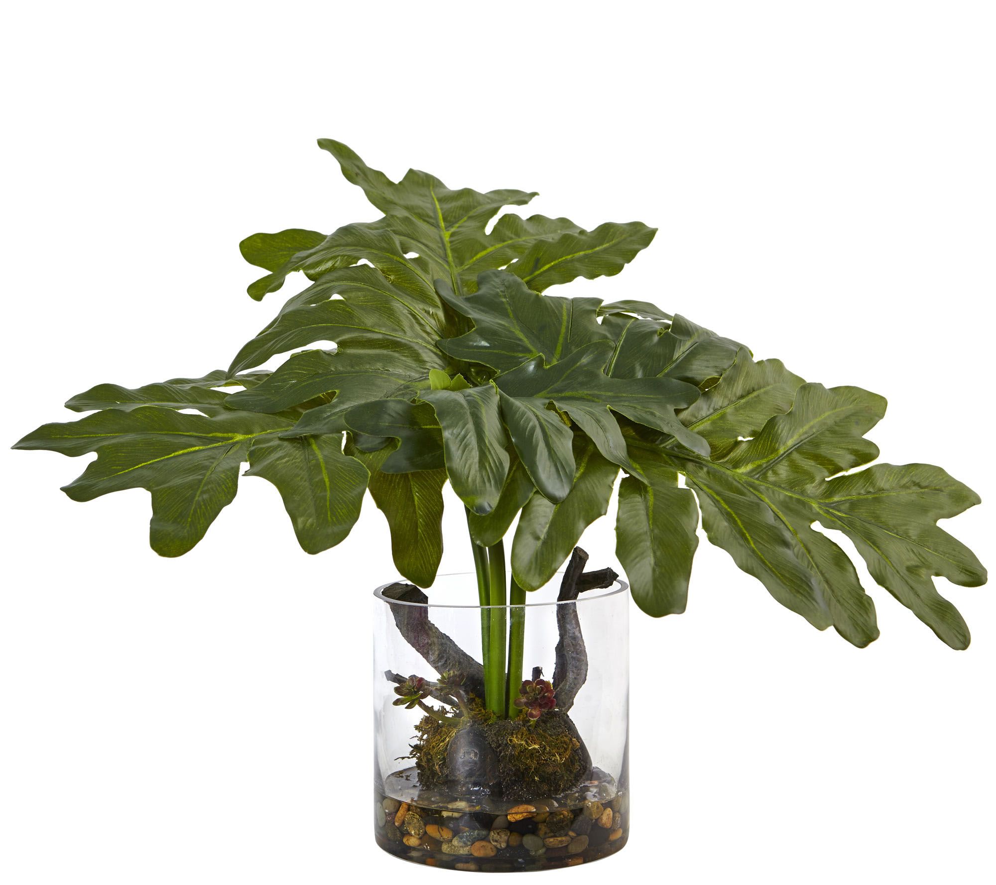 Philodendron Arrangement with Vase by Nearly Natural