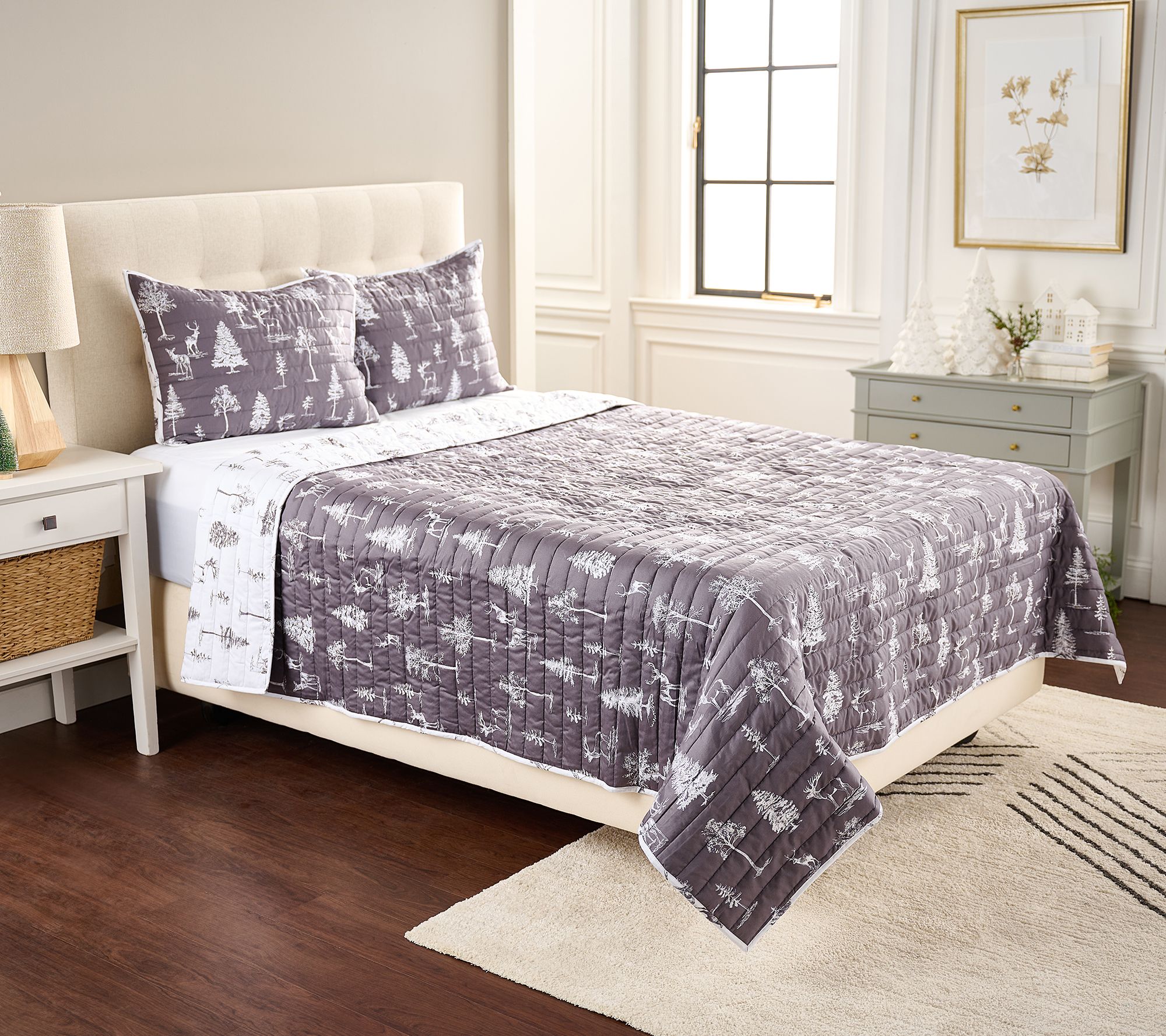 Qvc northern nights online blankets