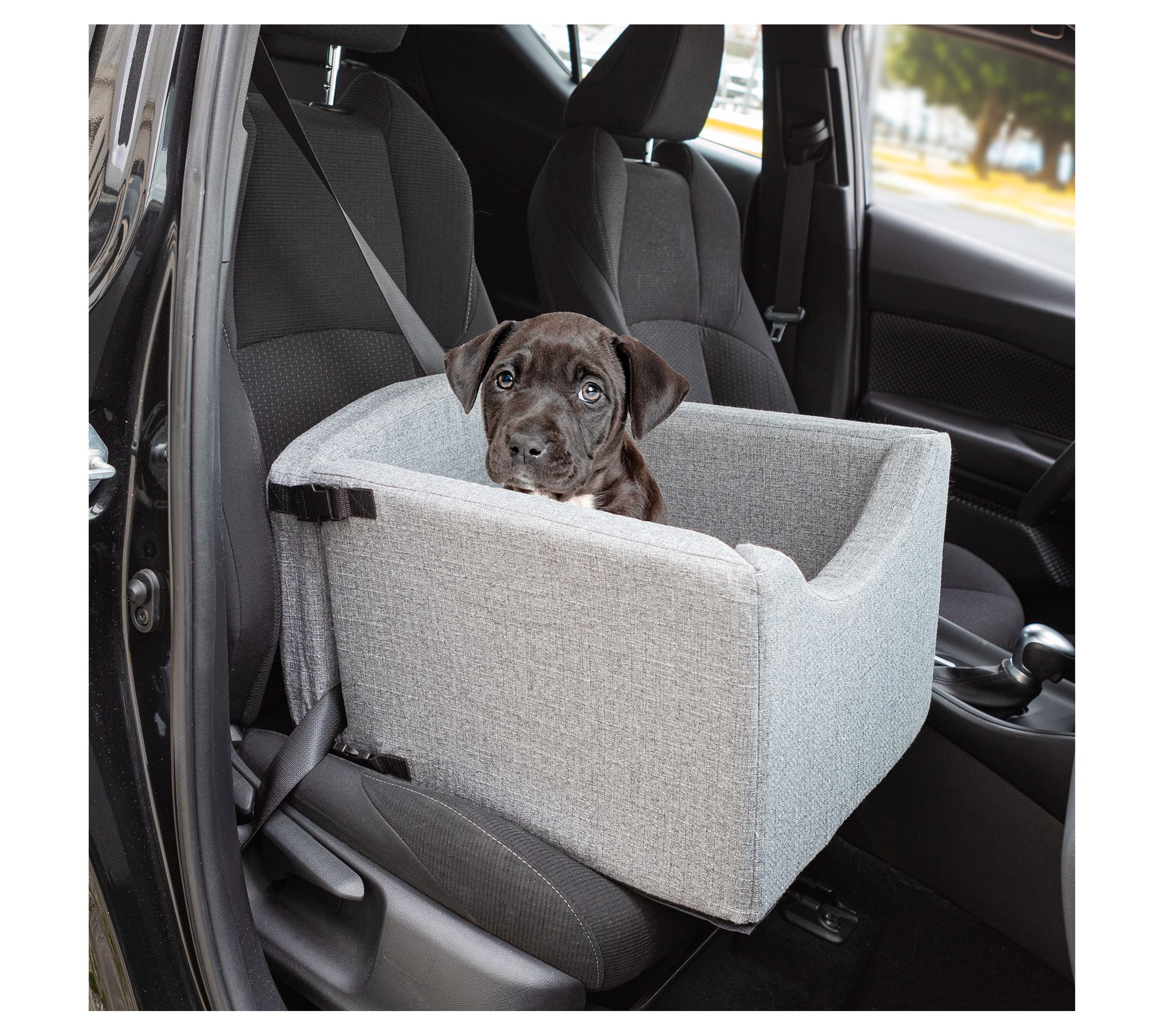 Petmaker Booster Seat for Small Dogs and Cats up to 25lbs