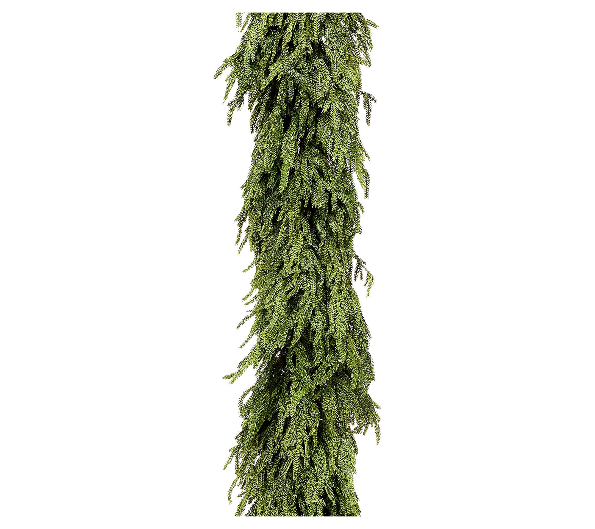 Natural Touch Norfolk Pine Garlandnull