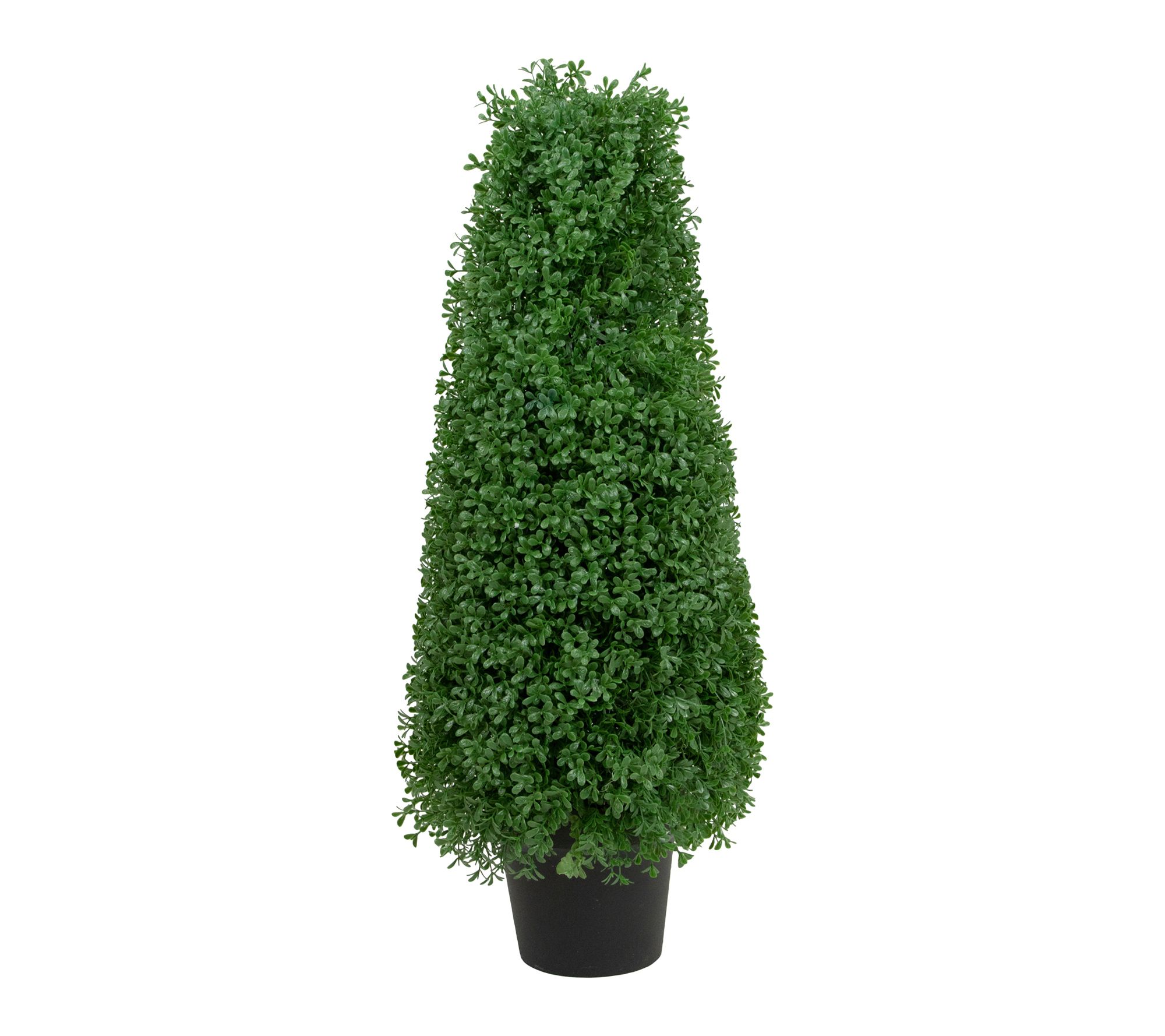 Northlight 30"  Boxwood Cone Topiary Tree in Round Pot