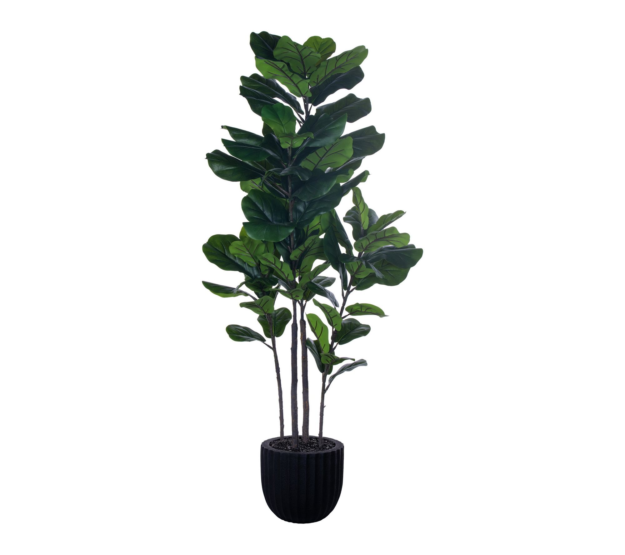 Vickerman 72" Green Fiddle Leaf Potted UV