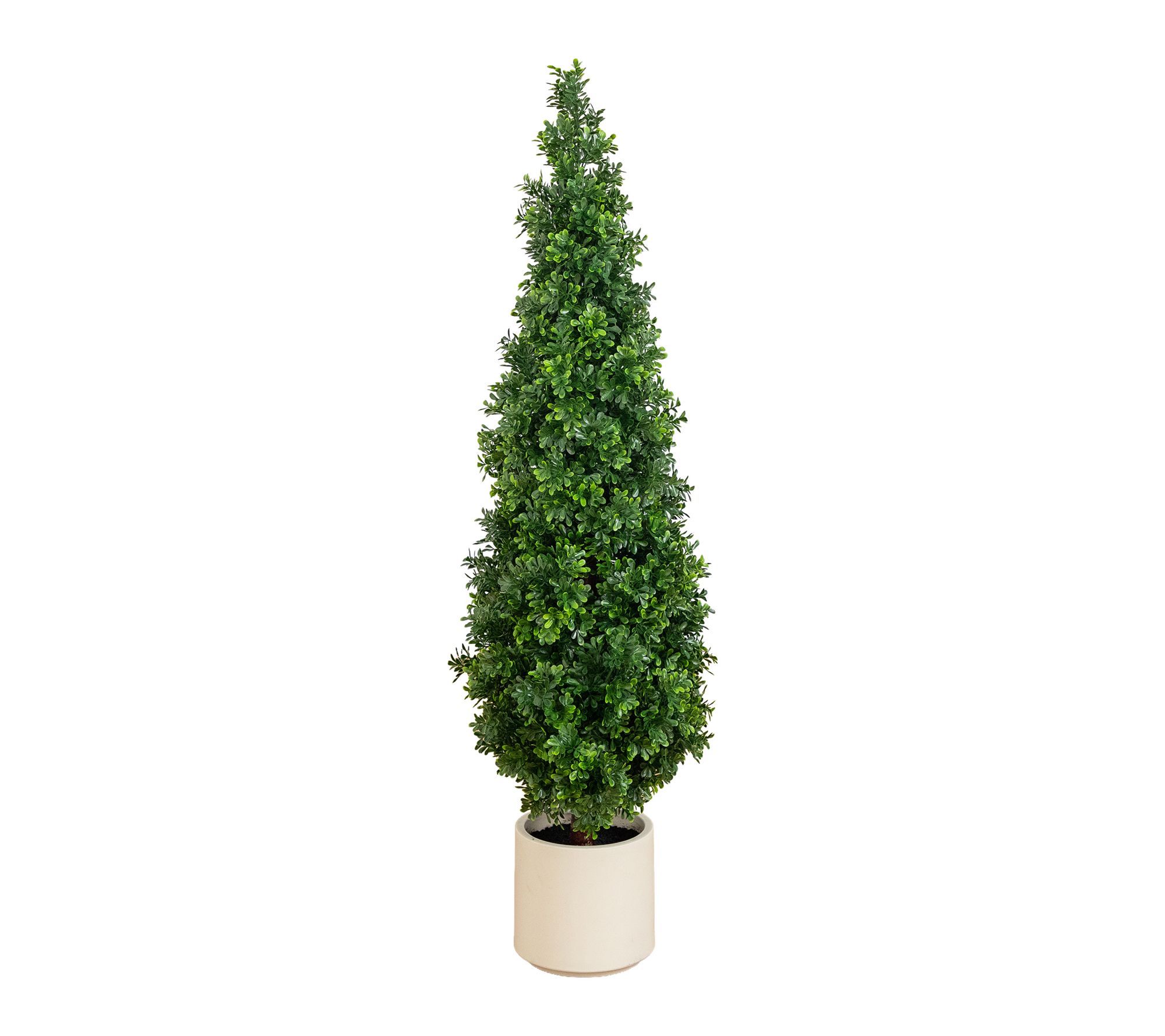 4-ft UV Boxwood Tree in White Planter by Nearly Natural