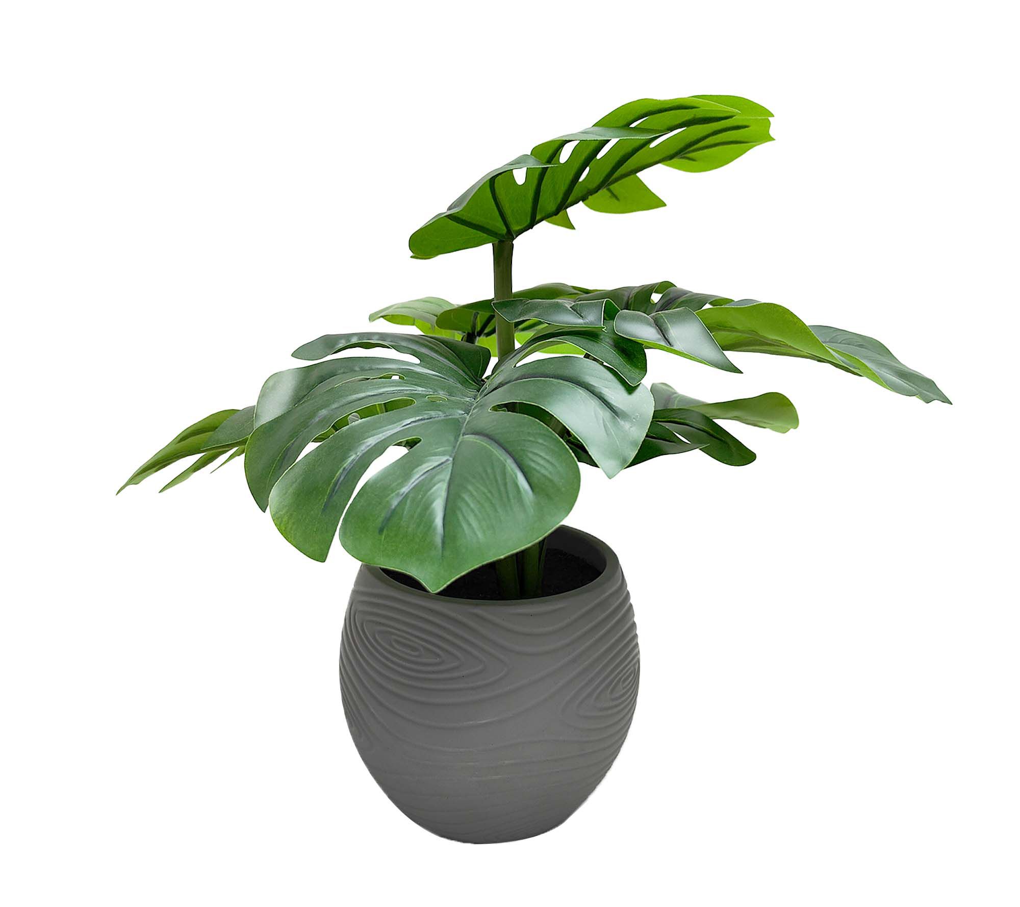 "As Is" Temp-tations Medium Faux Monstera in Cement Pot