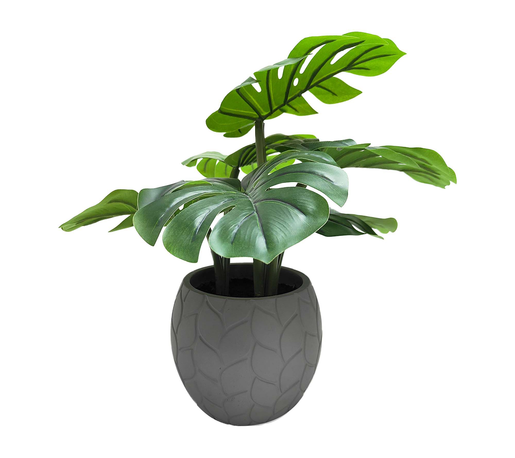 "As Is" Temp-tations Medium Faux Monstera in Cement Pot