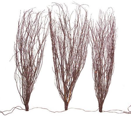 Twig Branches