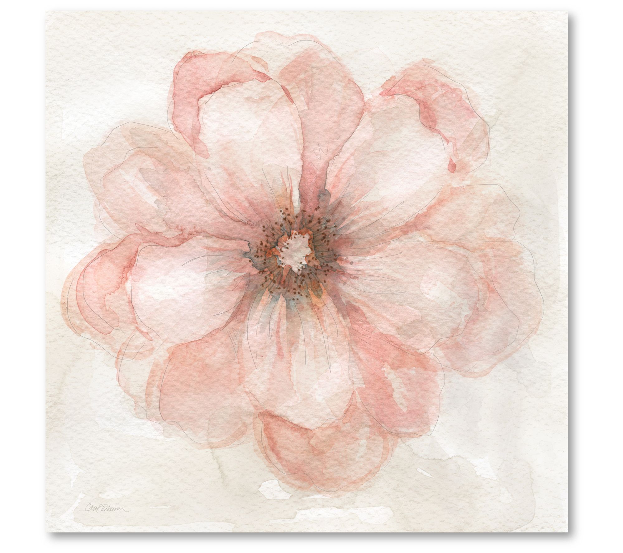 Courtside Market Pink Posy II 16" x 16" CanvasWall Art