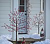 Evergreen LED Red Berry Tree 4'H, 72 lights, 2 of 2