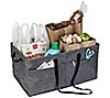 Honey-Can-Do Large Trunk Organizer, 2 of 7