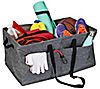 Honey-Can-Do Large Trunk Organizer, 3 of 7