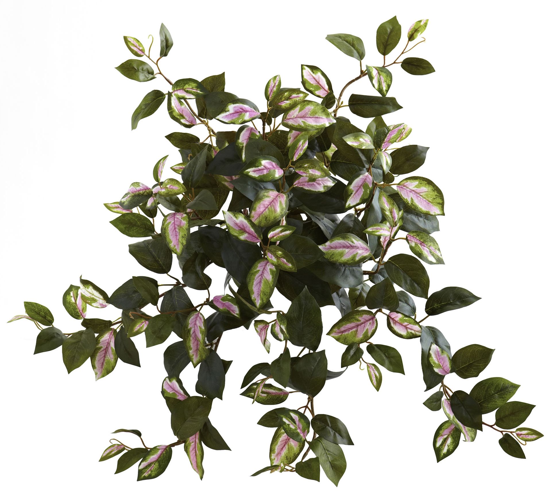 Hoya Hanging Bush Set of 4 by Nearly Natural