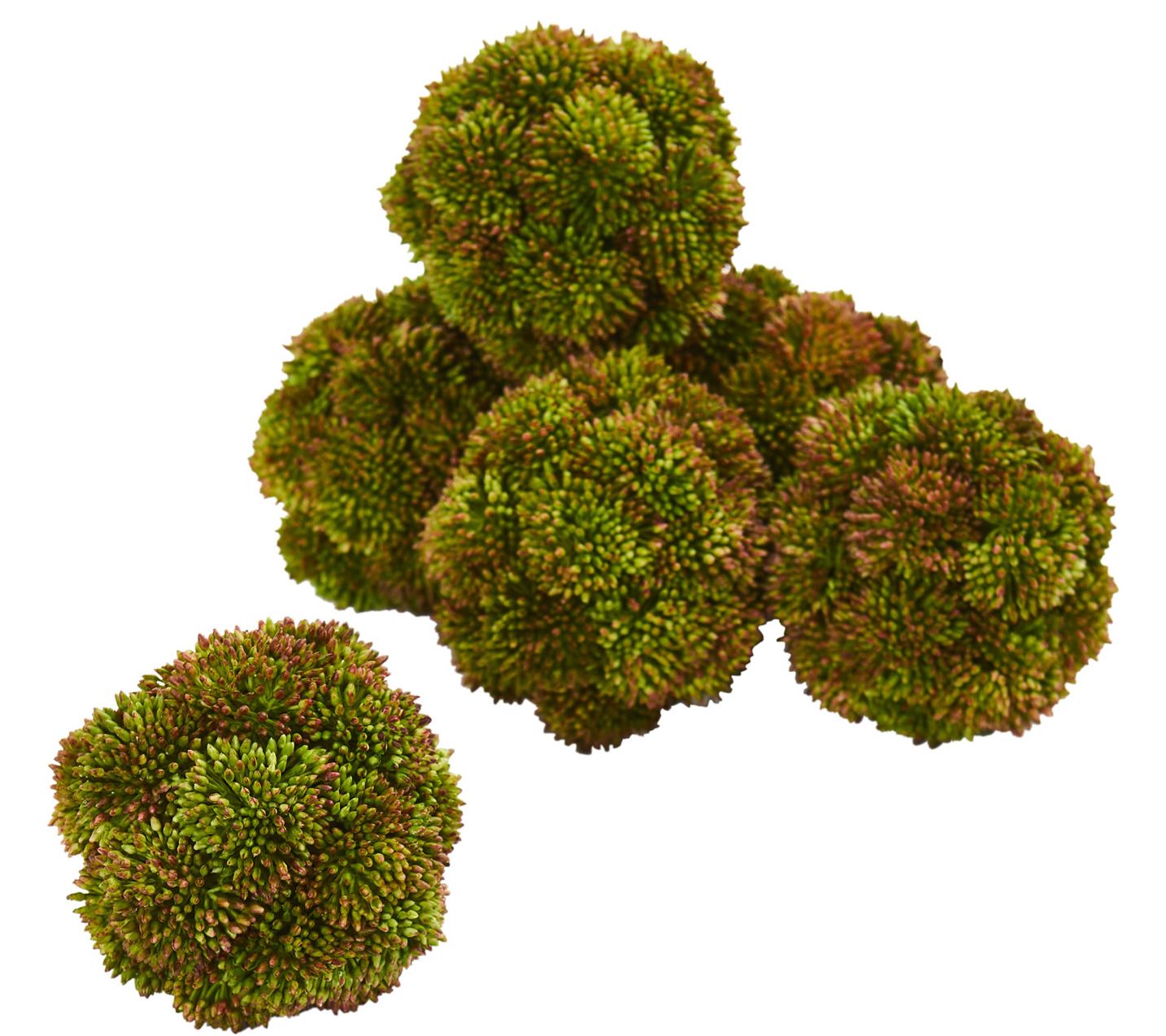 4" Sedum Succulent Spheres Set of 6 by Nearly Natural