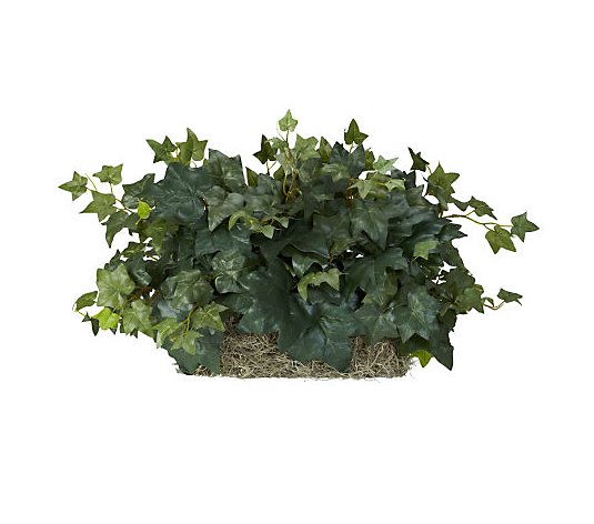 Ivy Ledge Plant by Nearly Natural
