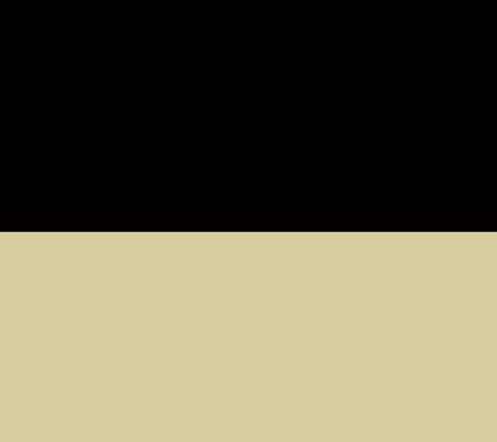 Black/Ivory