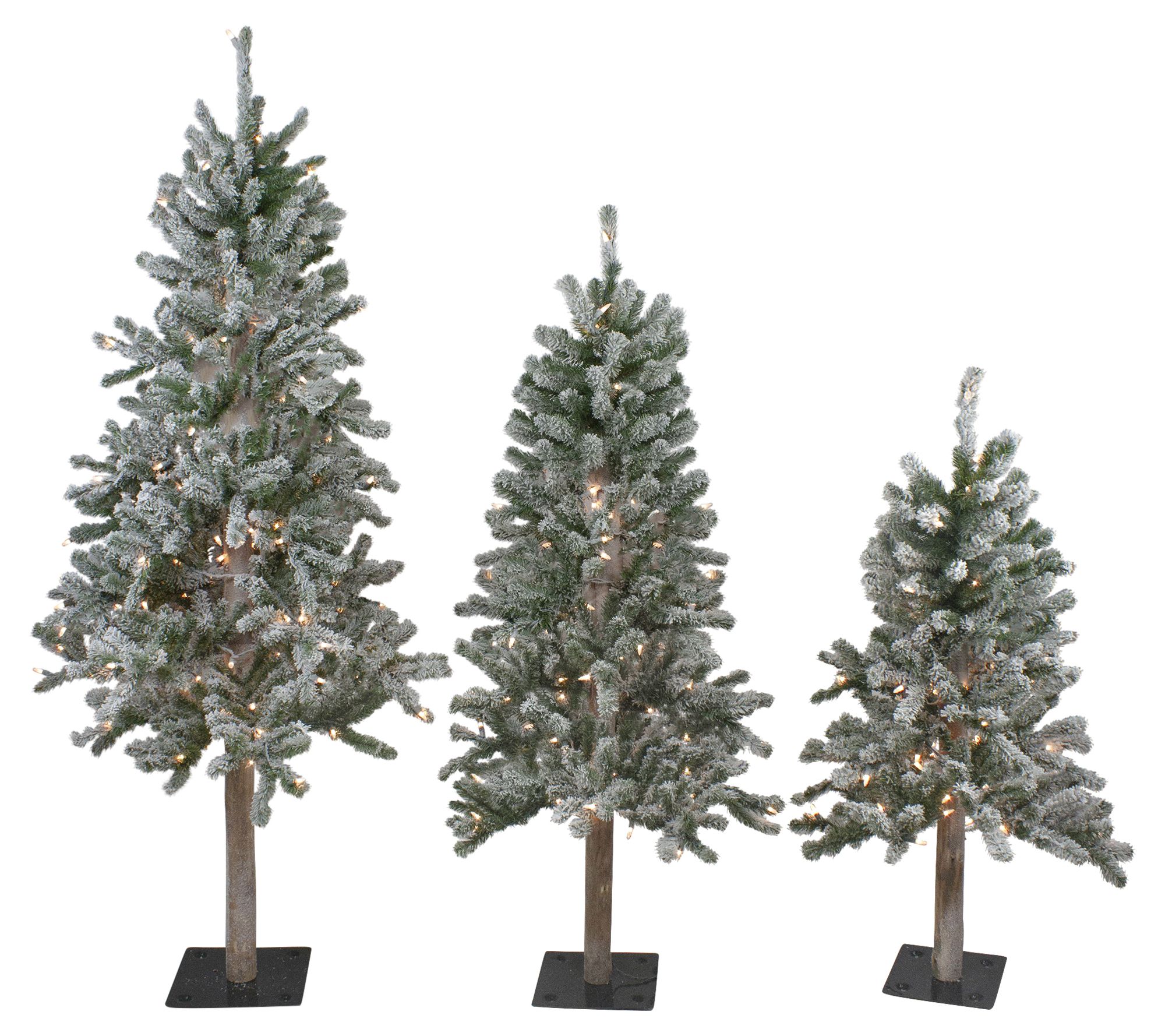 Northlight Set of 3 Flocked Alpine Trees 5' - Clear Lights