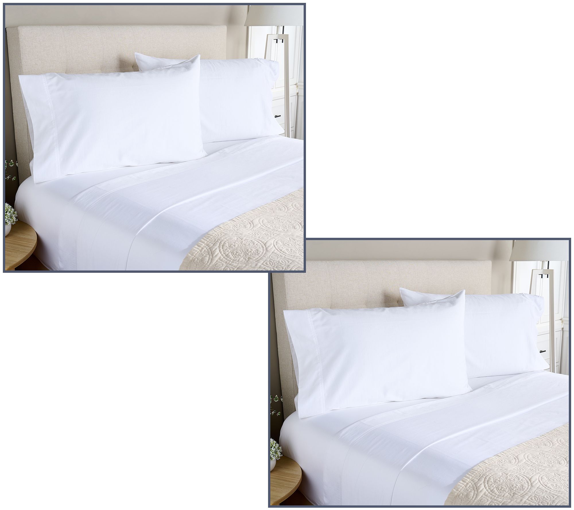 Home Reflections 2-Pack Cotton Sateen Sheet Set
