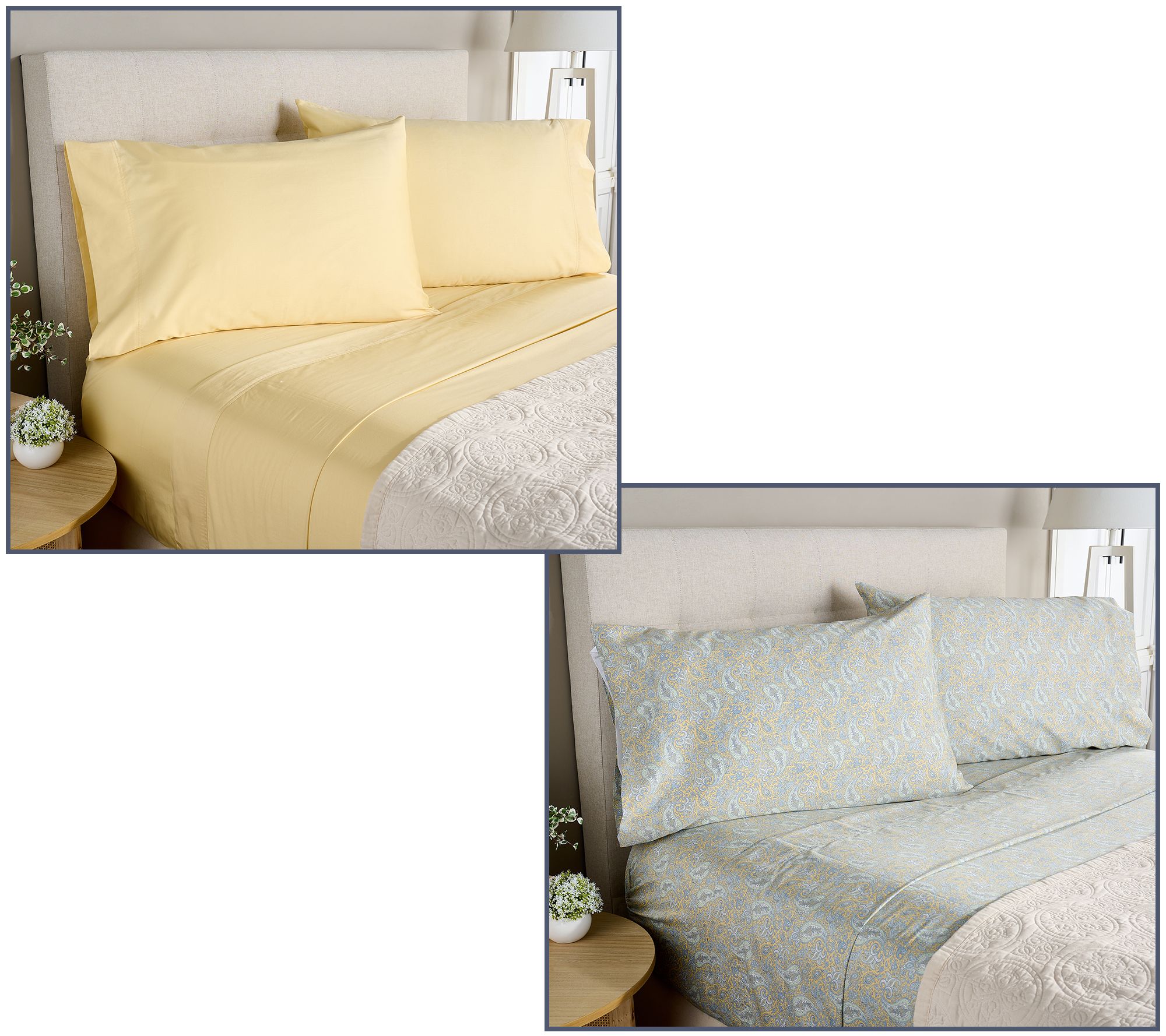 Home Reflections 2-Pack Cotton Sateen Sheet Set