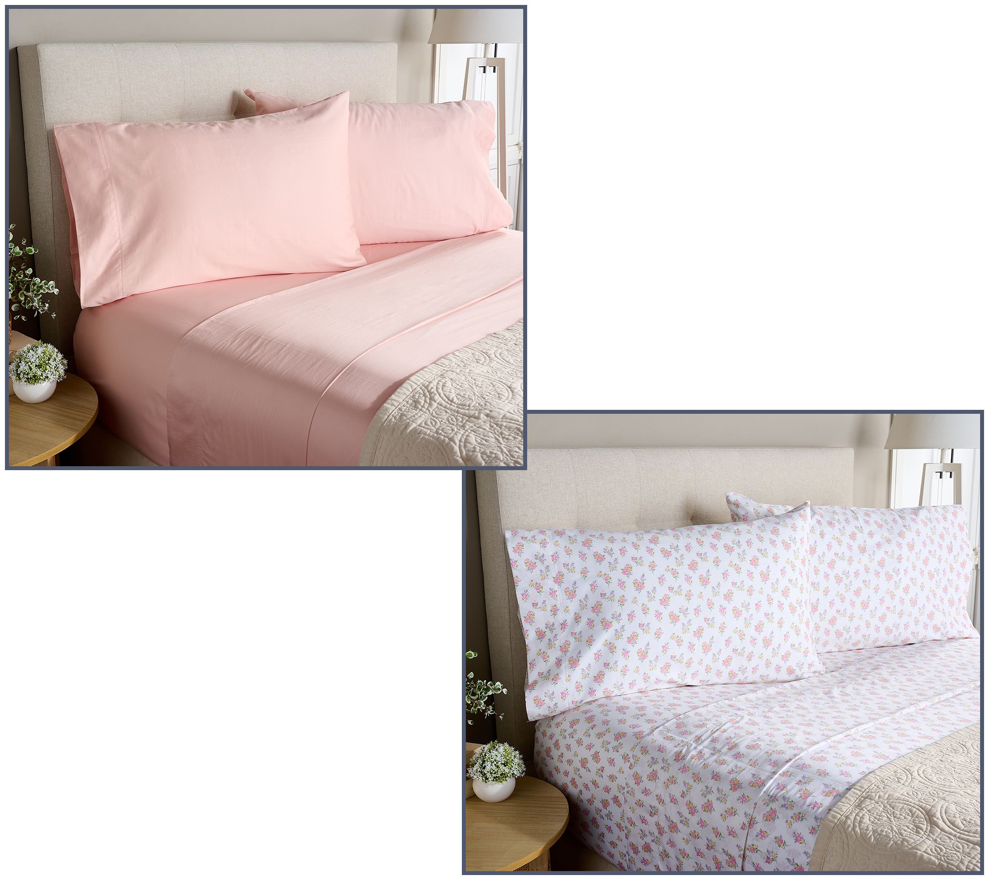 Home Reflections 2-Pack Cotton Sateen Sheet Set