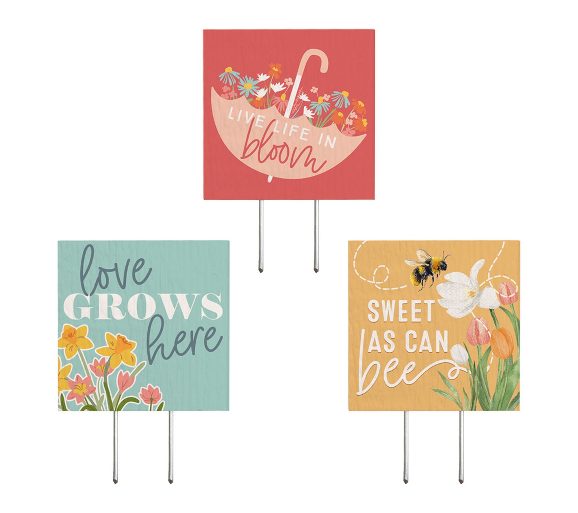 Sincere Surroundings 5.75" Accent Plant Thoughts, set of 3