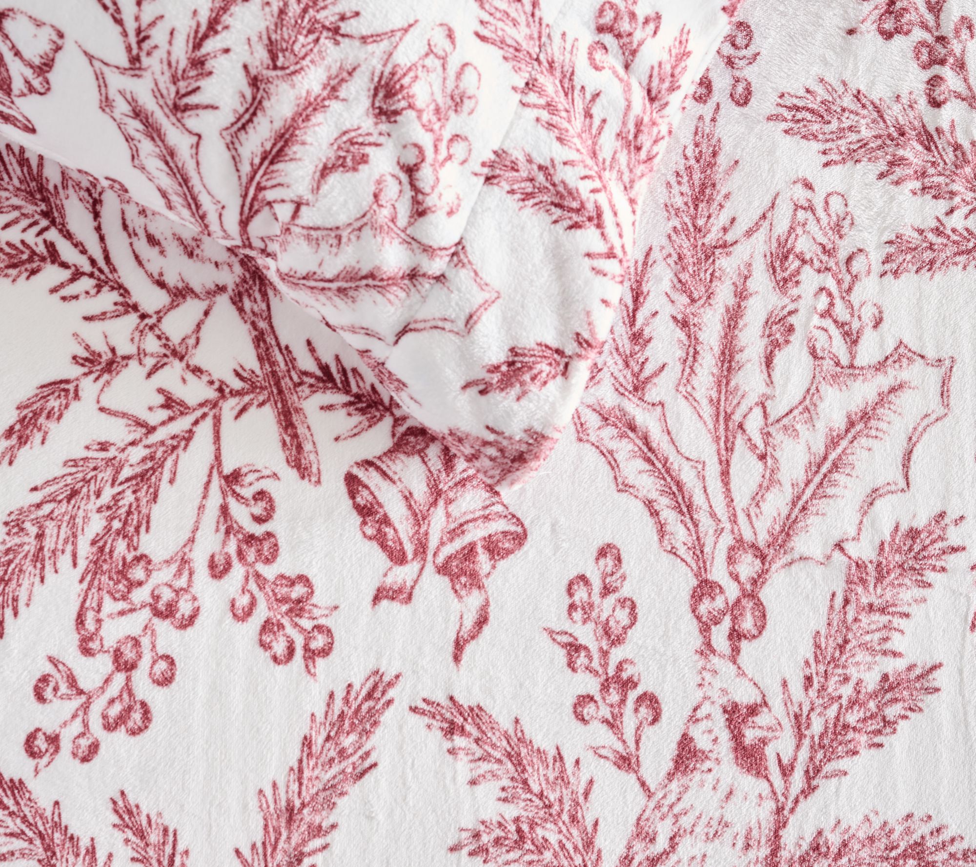 Cozy Velvet Plush Queen Sheet Set by Kim Gravel