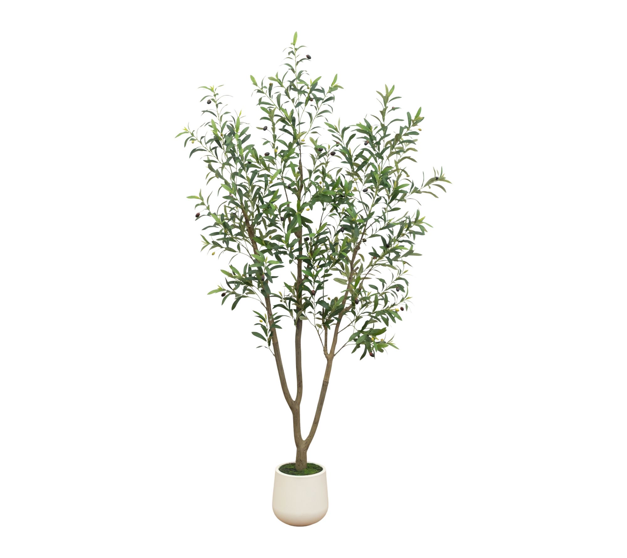 7-ft Olive tree in Decorative Planter by Nearly Natural